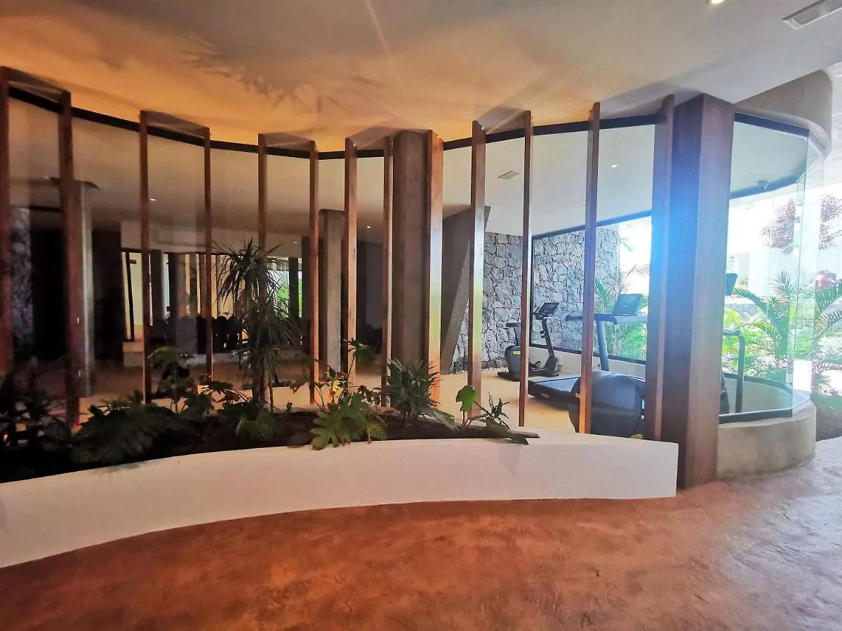 Brand New Apartment Surrounded By Tropical Gardens! Palm-mar 0*,  Spain